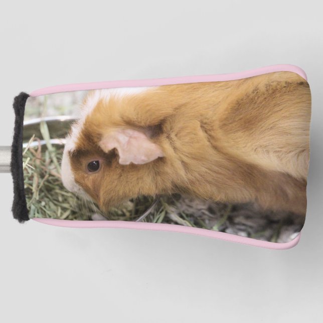 Piggy Golf Head Cover Headcover (Vorderseite)