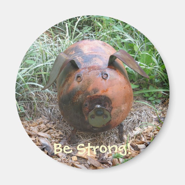 Piggy Magnet Diäthilfe (Vorne)