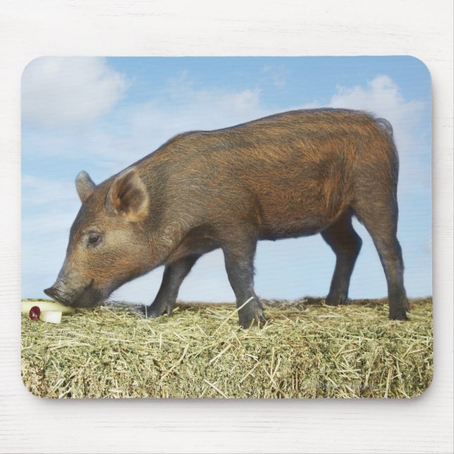 Piglet Eating Mousepad (Vorne)