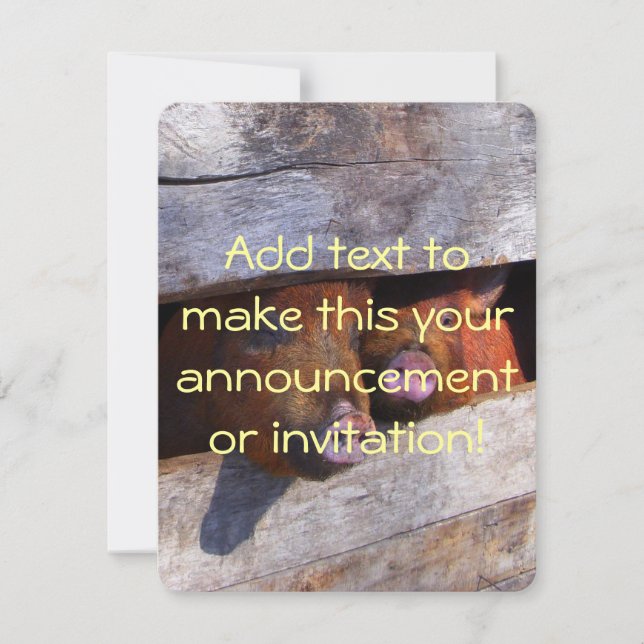 PigPen Pair Peking Schweine Einladung (Vorderseite)