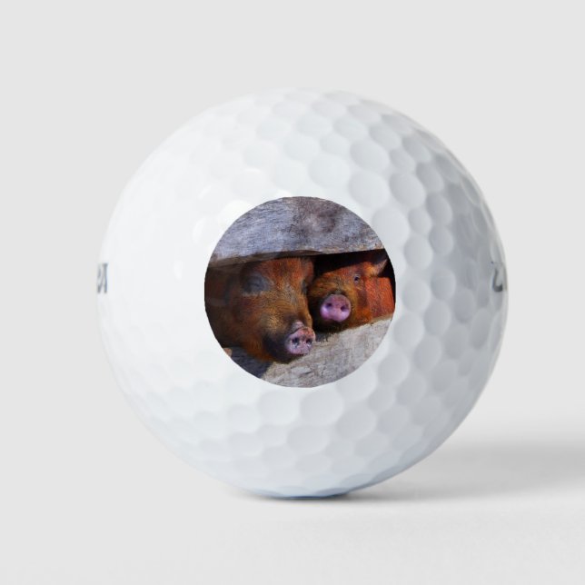 PigPen Pair Peking Schweine Golfball (Vorderseite)