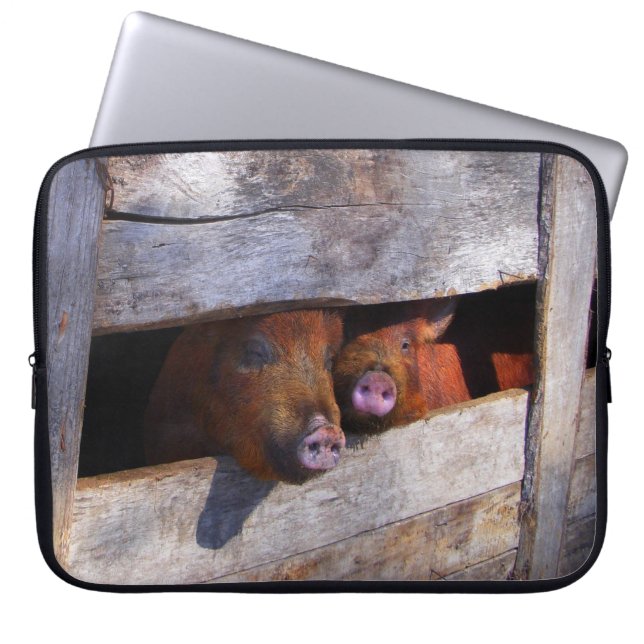 PigPen Pair Peking Schweine Laptopschutzhülle (Vorderseite)