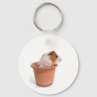 Pigs in Flowerpot Schlüsselanhänger