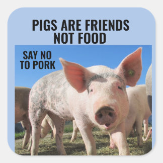 PIGS SONT AMIS PAS DE LA NOURRITURE - ÉTIQUETTES V
