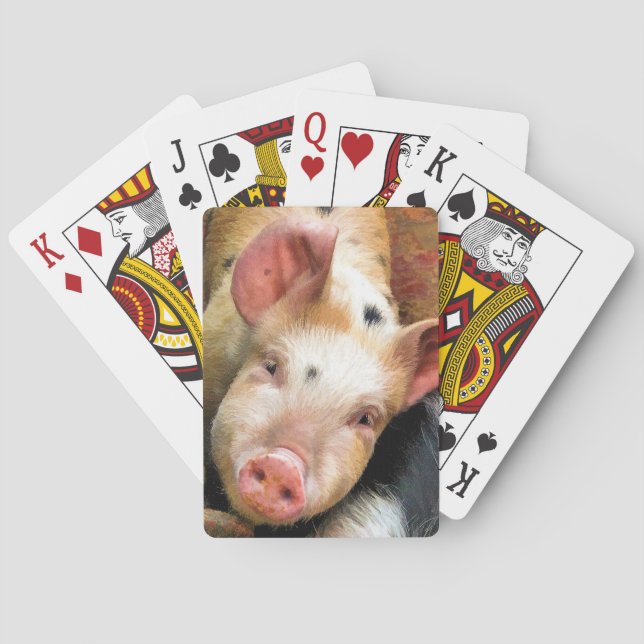 PIGS  SPIELKARTEN (Rückseite)