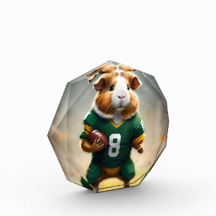 Pigskin Prodigy: Die Guinea Pig Quarterback, Fotoblock