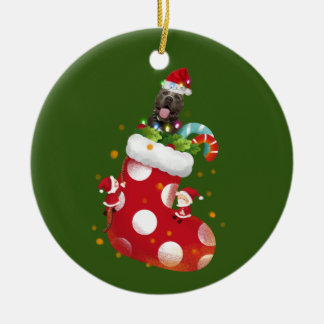 Piitbull With Socking Keramik Ornament