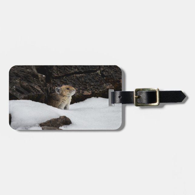 Pika in Snow Tag mit Kontaktinformationen Gepäckanhänger (Vorderseite horizontal)