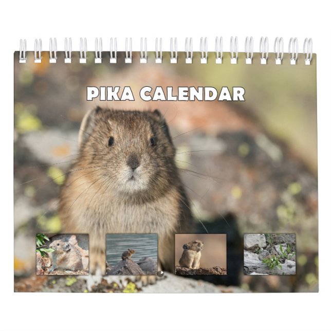Pika Kalender (Titelbild)