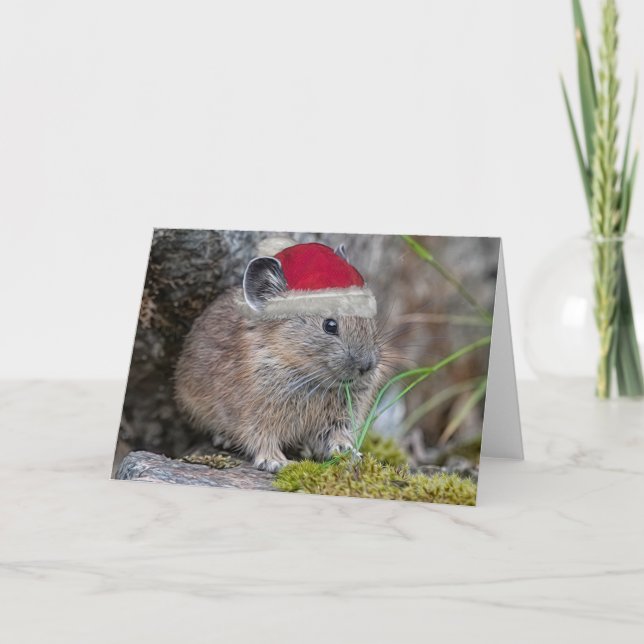 Pika Weihnachtskarte Karte (Vorderseite)
