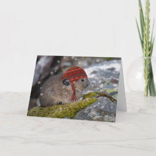 Pika Weihnachtskarte Karte