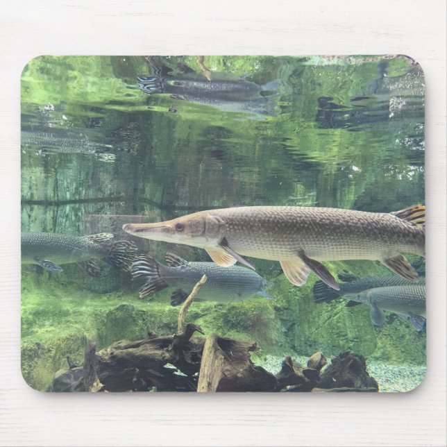 Pike-Fische Mousepad (Vorne)