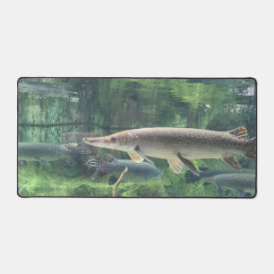 Pike Fish Clear Water Foto Schreibtischunterlage