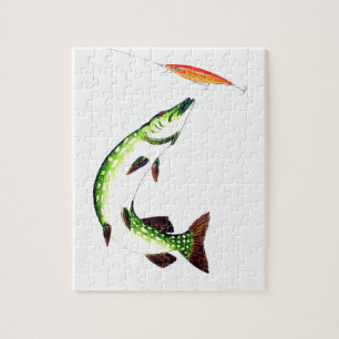Pike fishing and fly fishing