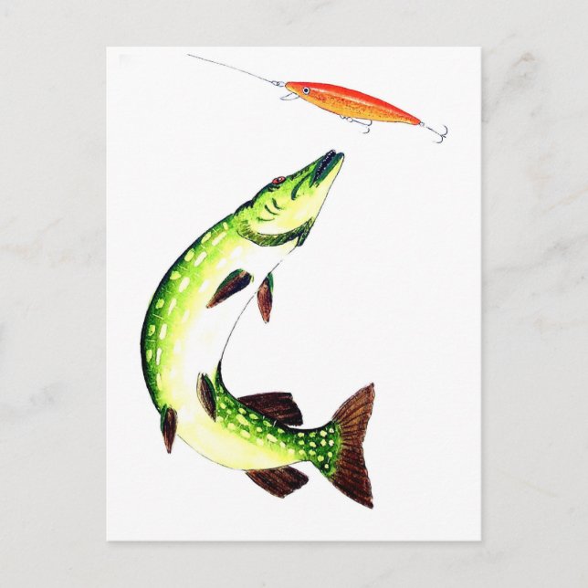 Pike fishing and fly fishing postkarte (Vorderseite)