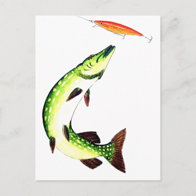 Pike fishing and fly fishing postkarte (Vorderseite)