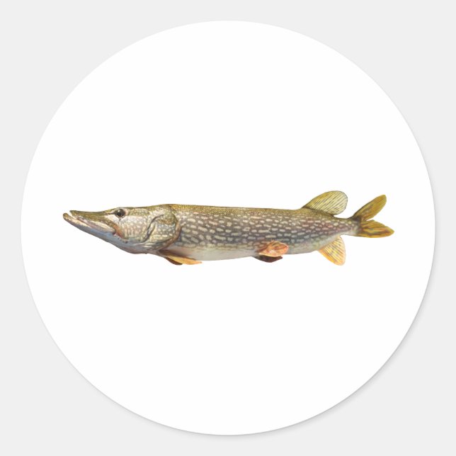 Pike Muski angeln Runder Aufkleber (Vorderseite)