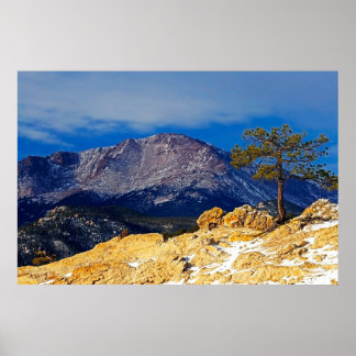 Pikes Peak and Lone Tree Poster