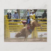 Pikes Peak oder Bust Rodeo