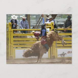 Pikes Peak oder Bust Rodeo Postkarte