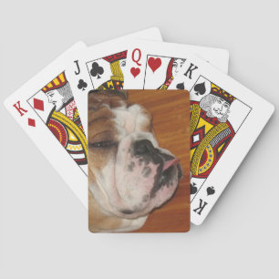 Pile de taureau anglais de cartes à jouer