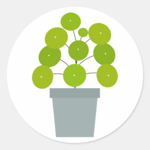 Pilea peperomioides in grüner Pflanze Runder Aufkleber