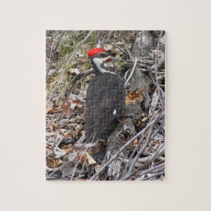 Pileated Specht, der Puzzlespiel Pecking ist