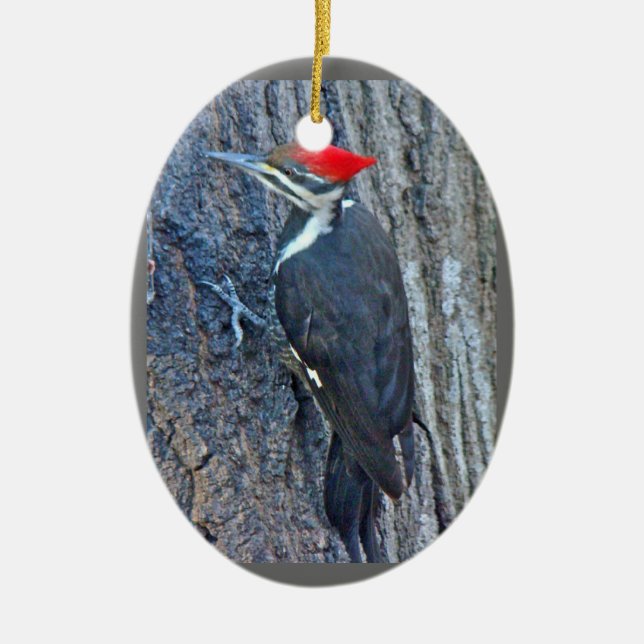 Pileated Specht-frohe Weihnacht-Verzierung Keramik Ornament (Vorne)