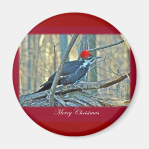 Pileated Woodpecker Frohe Weihnachtsartikel Magnet