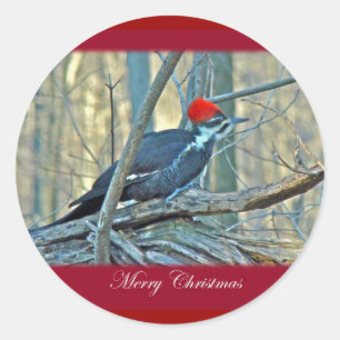 Pileated Woodpecker Frohe Weihnachtsartikel Runder Aufkleber