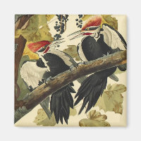 Pileated Woodpecker, John James Audubon