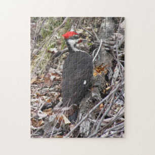 Pileated Woodpecker Puzzle