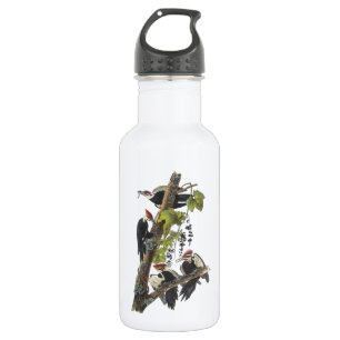 Pileated Woodpecker von Audubon Edelstahlflasche