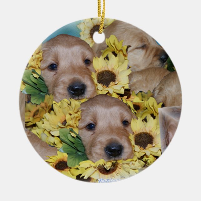 Piles des chiots en ornement de Noël de fleurs (Devant)