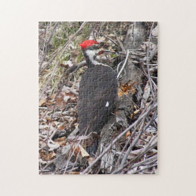 Piletiertes Woodpecker Puzzle (Vertikal)
