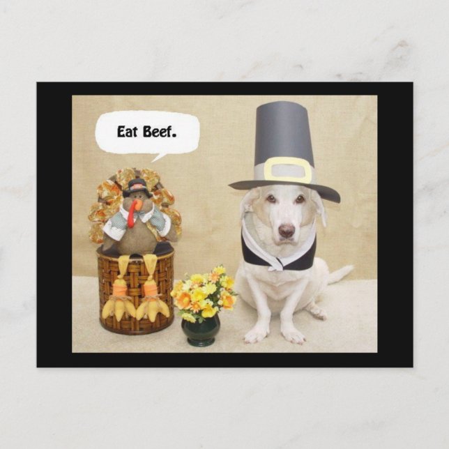 Pilgrim Myrtie Postkarte (Vorderseite)