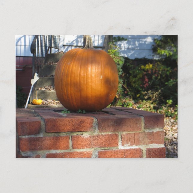 Pillar Pumpkin Postkarte (Vorderseite)