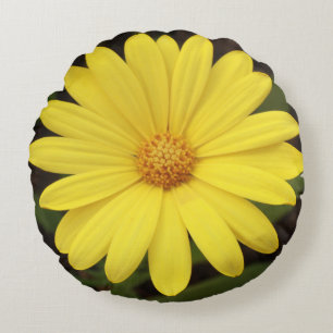 Pillow, Gänseblümchen wie Blume in der runden Fo Rundes Kissen