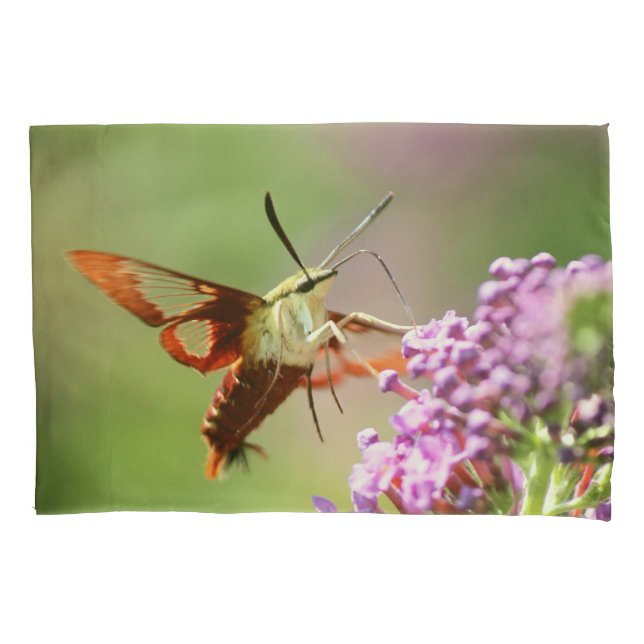 Pillowcase Kissenbezug (Vorderseite)