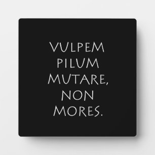 Pilummutare Fotoplatte