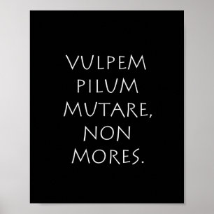Pilummutare Poster