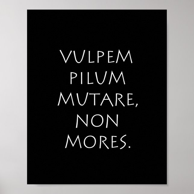 Pilummutare Poster (Vorne)