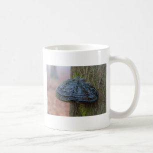 Pilz auf einem Baumstamm im Wald Kaffeetasse