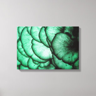 Pilz-Blumen/Natur abstrakt Leinwanddruck