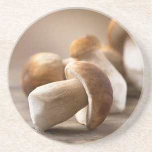 Pilz Boletus über Holzboden. Herbst Sandstein Untersetzer