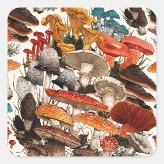 Pilz Botanische Natur Wald Pilze Waldland Quadratischer Aufkleber