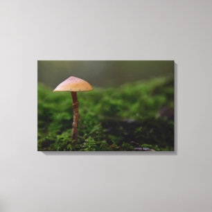 Pilz im grünen Moos-Leinwanddruck Leinwanddruck