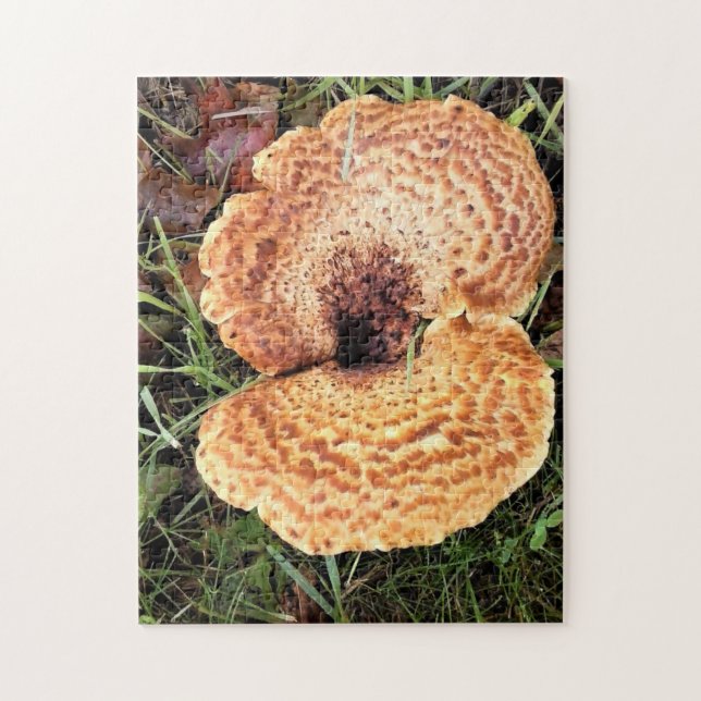 Pilz im Wald (Vertikal)