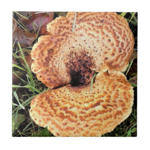 Pilz im Wald Fliese