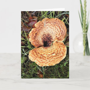Pilz im Wald Karte
